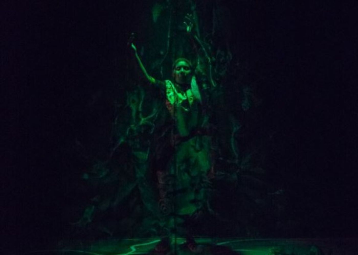 Photo Flash: Cleveland's Karamu House Hosts the American Premiere of THE ADVENTURES OF THE BLACK GIRL  Image