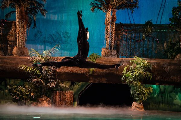 Photo Flash: Roxey Ballet Presents MOWGLI, THE JUNGLE BOOK BALLET Photo Flash: Roxey Ballet Presents MOWGLI, THE JUNGLE BOOK BALLET Image
