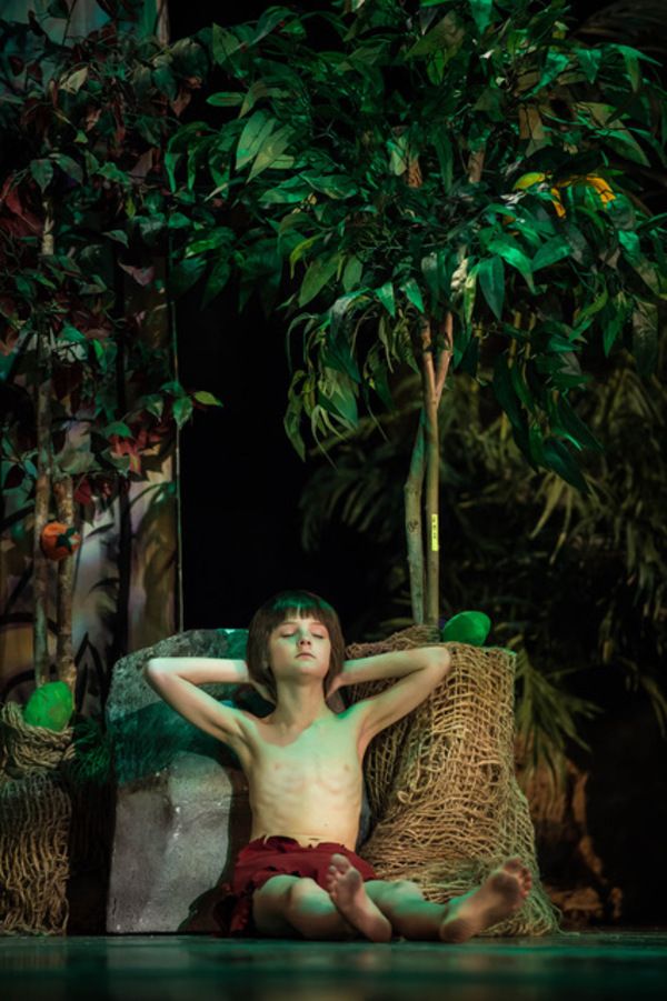 Photo Flash: Roxey Ballet Presents MOWGLI, THE JUNGLE BOOK BALLET Photo Flash: Roxey Ballet Presents MOWGLI, THE JUNGLE BOOK BALLET Image
