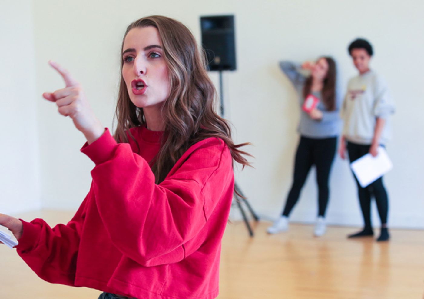 Photo Flash: Inside Rehearsals For DAMES at the Pleasance, Islington  Image