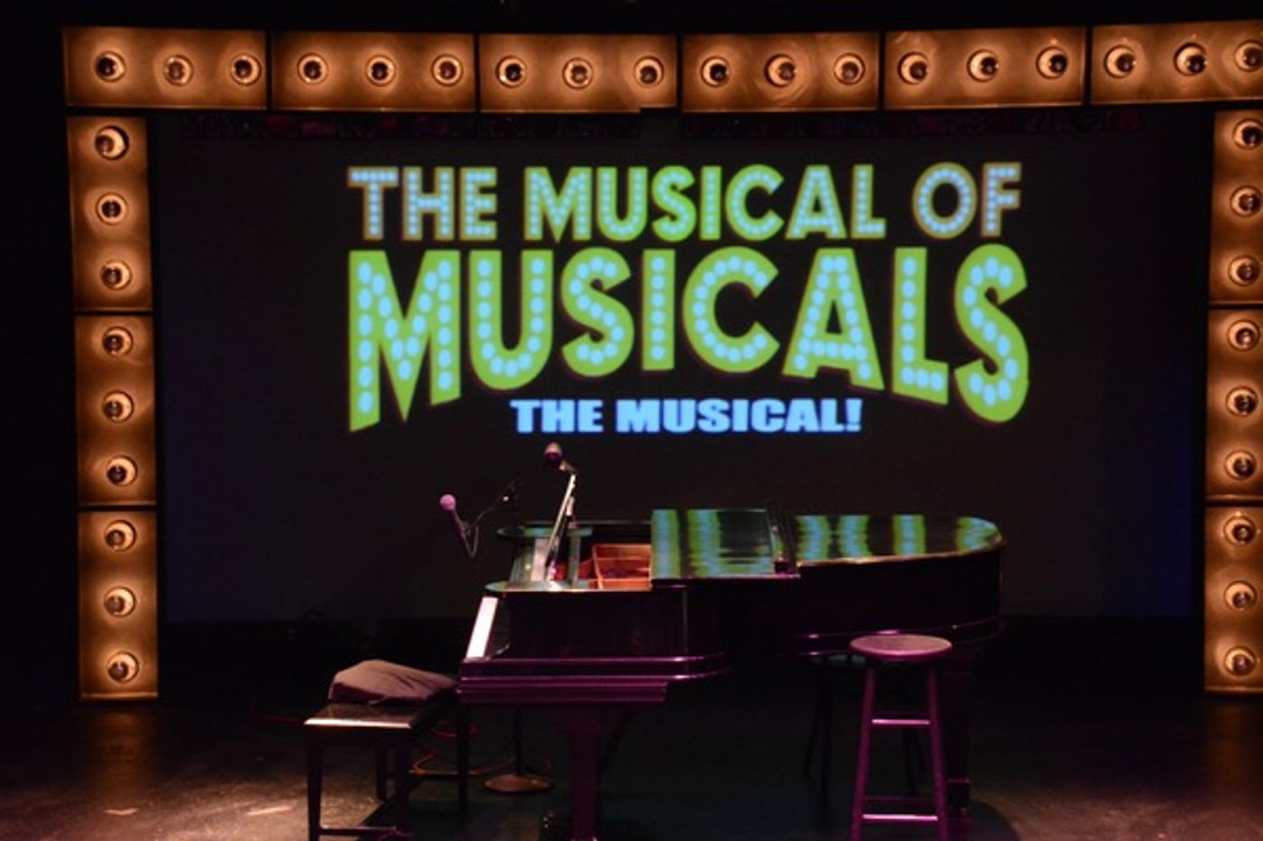 Photo Coverage: Go Inside York Theatre Company's Gala, THE MUSICAL OF MUSICALS!  Image