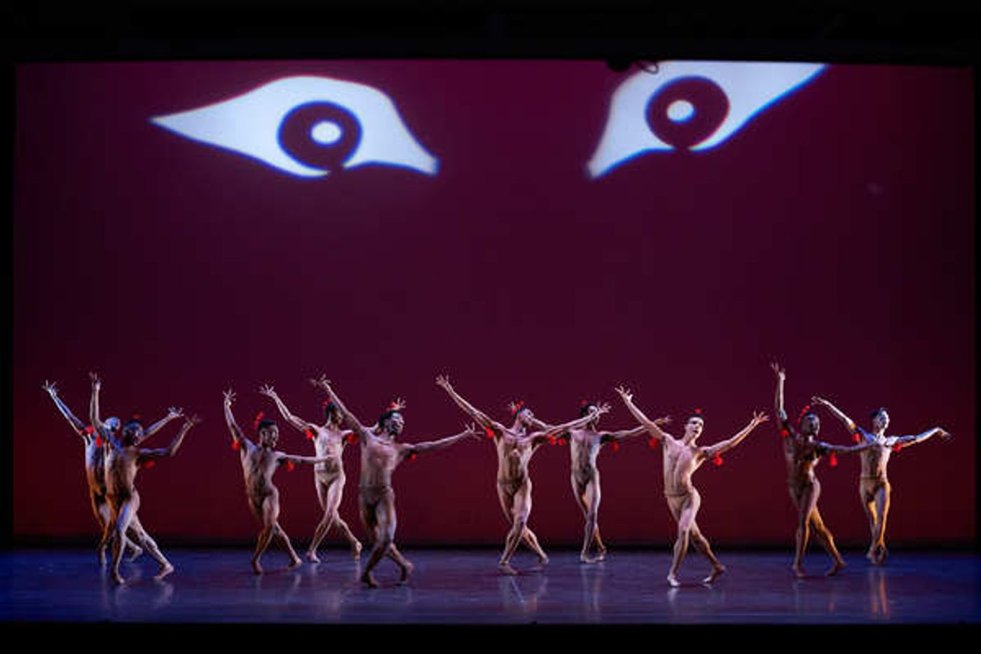 Photo Flash: Dance Theatre of Harlem's DOUGLA  Image