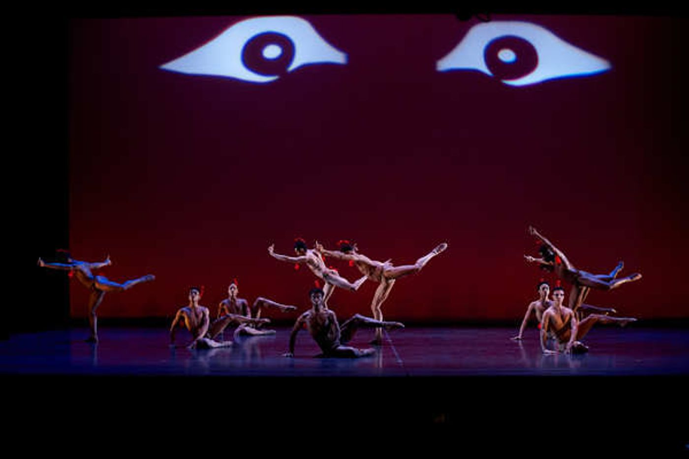 Photo Flash: Dance Theatre of Harlem's DOUGLA  Image