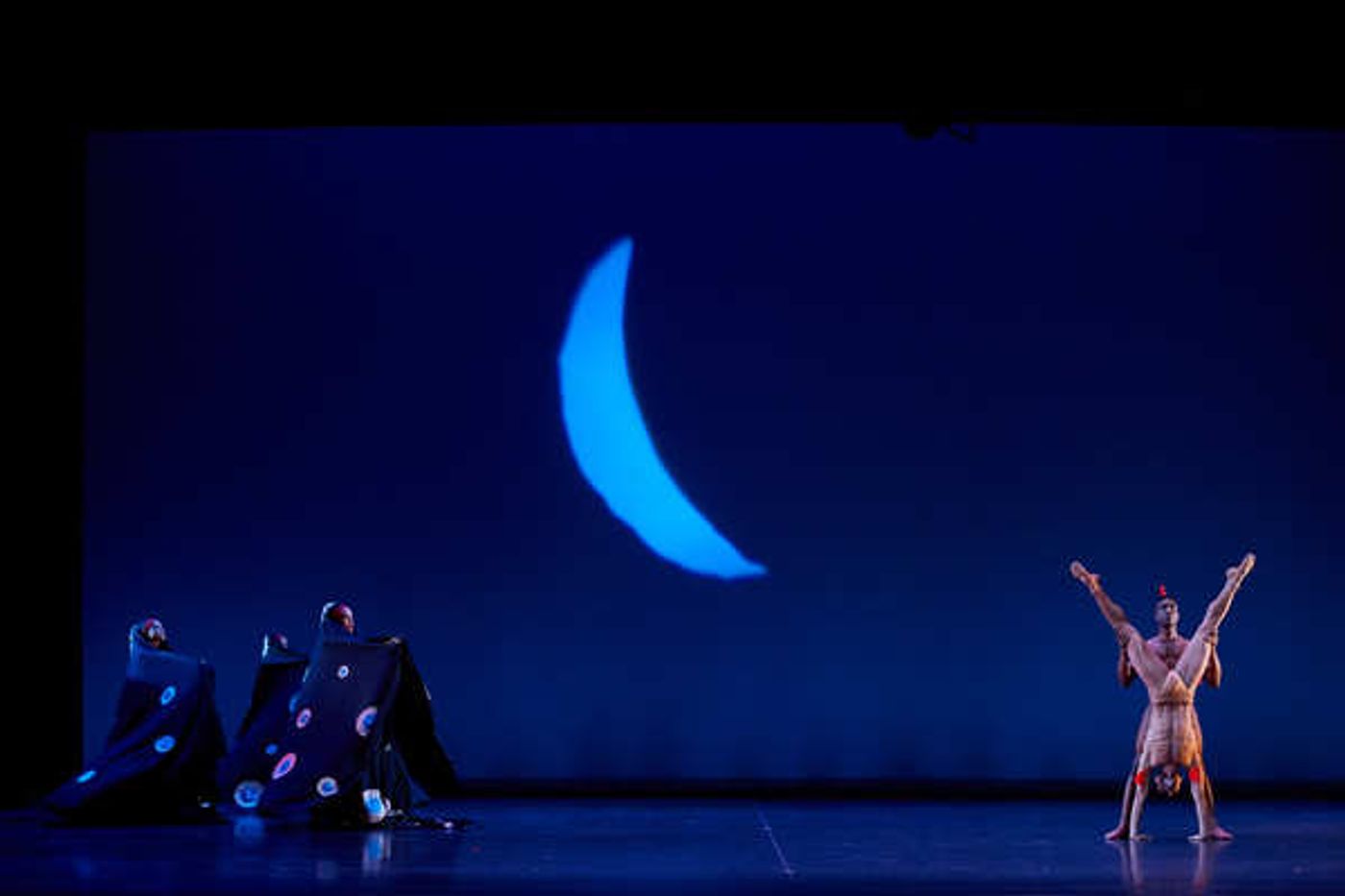 Photo Flash: Dance Theatre of Harlem's DOUGLA  Image