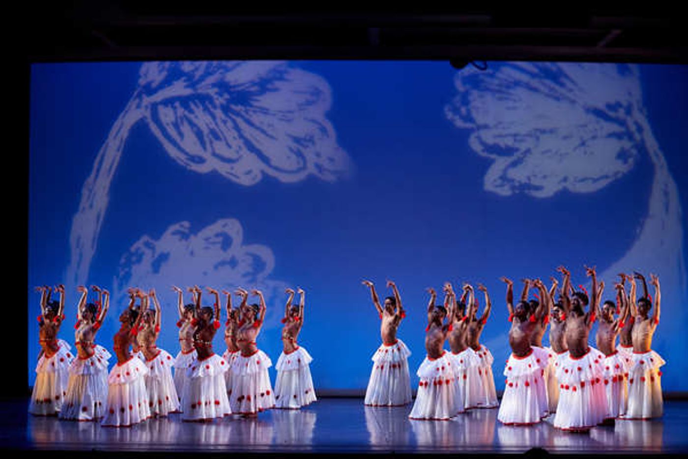 Photo Flash: Dance Theatre of Harlem's DOUGLA  Image