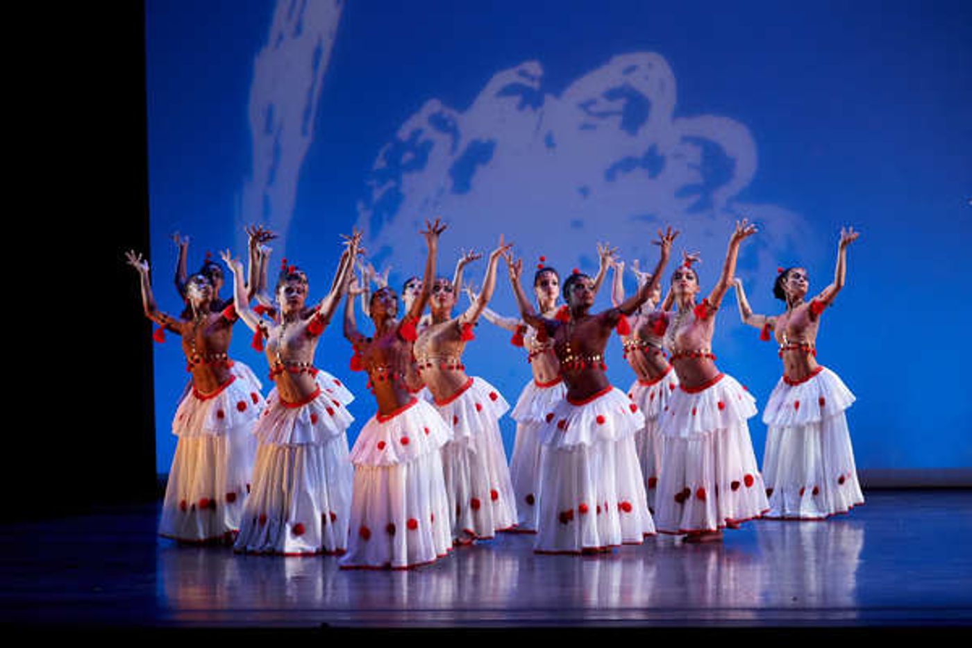 Photo Flash: Dance Theatre of Harlem's DOUGLA  Image