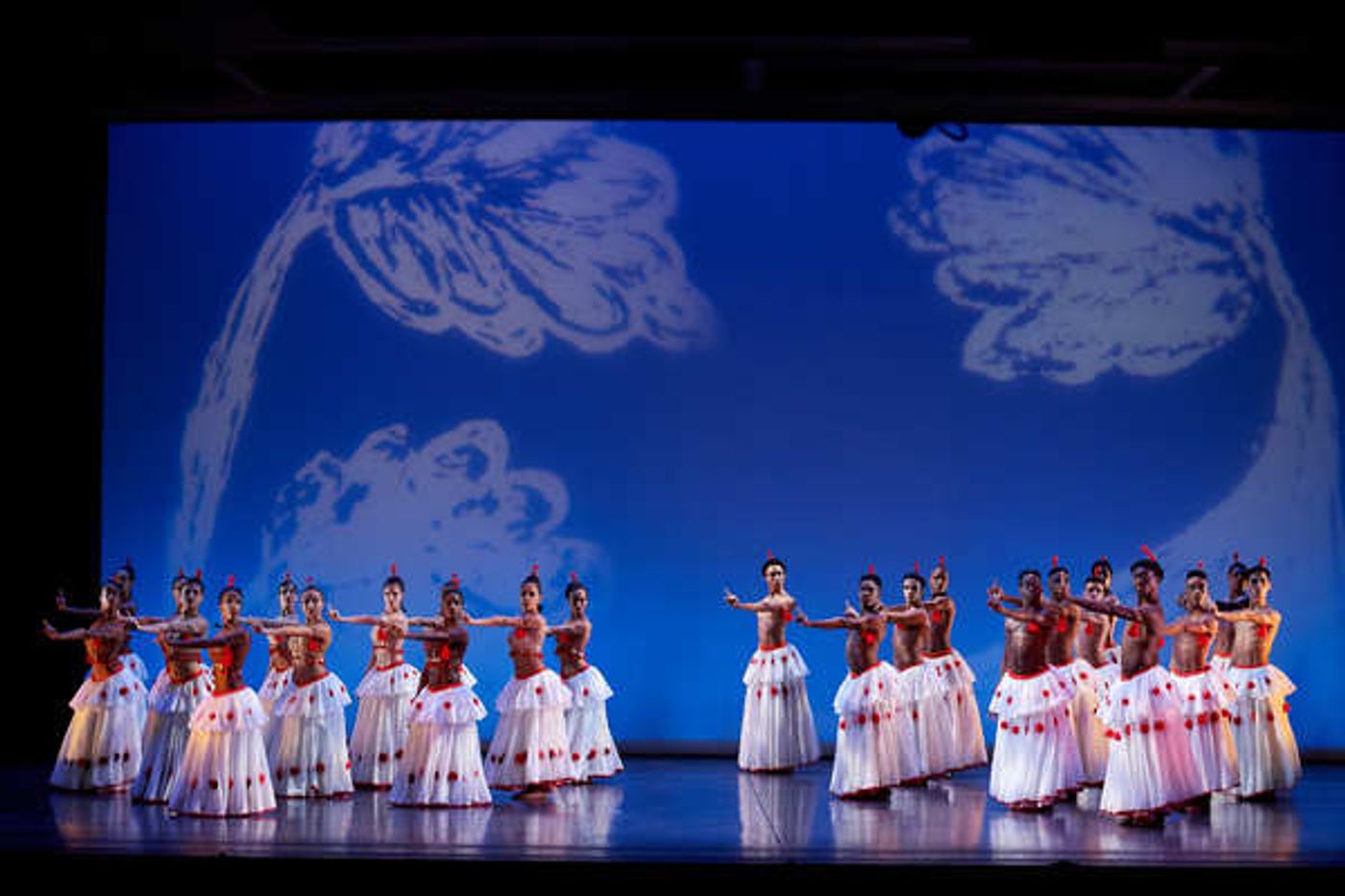 Photo Flash: Dance Theatre of Harlem's DOUGLA  Image