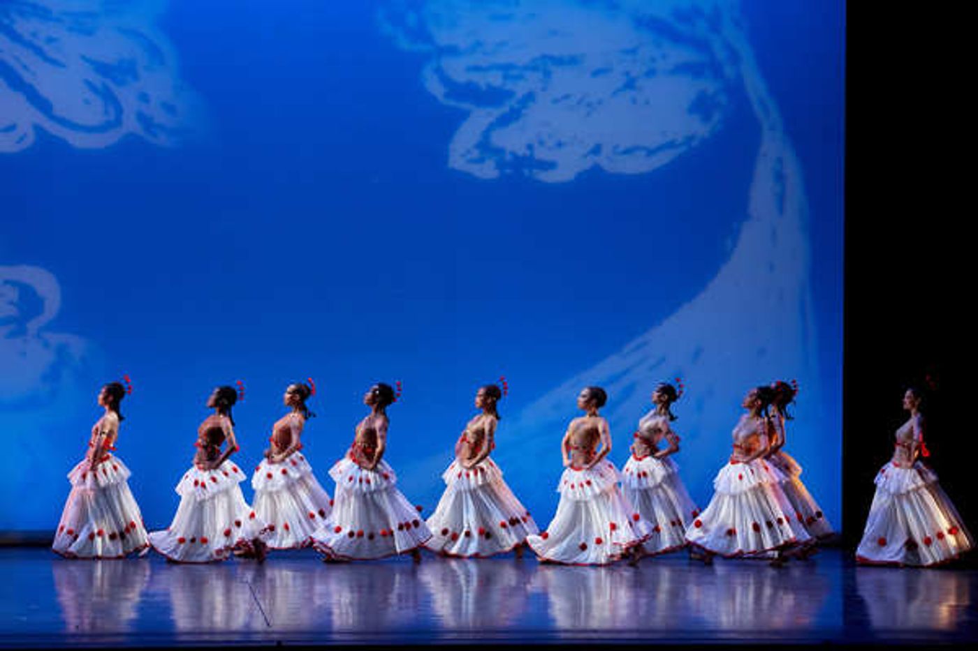 Photo Flash: Dance Theatre of Harlem's DOUGLA  Image