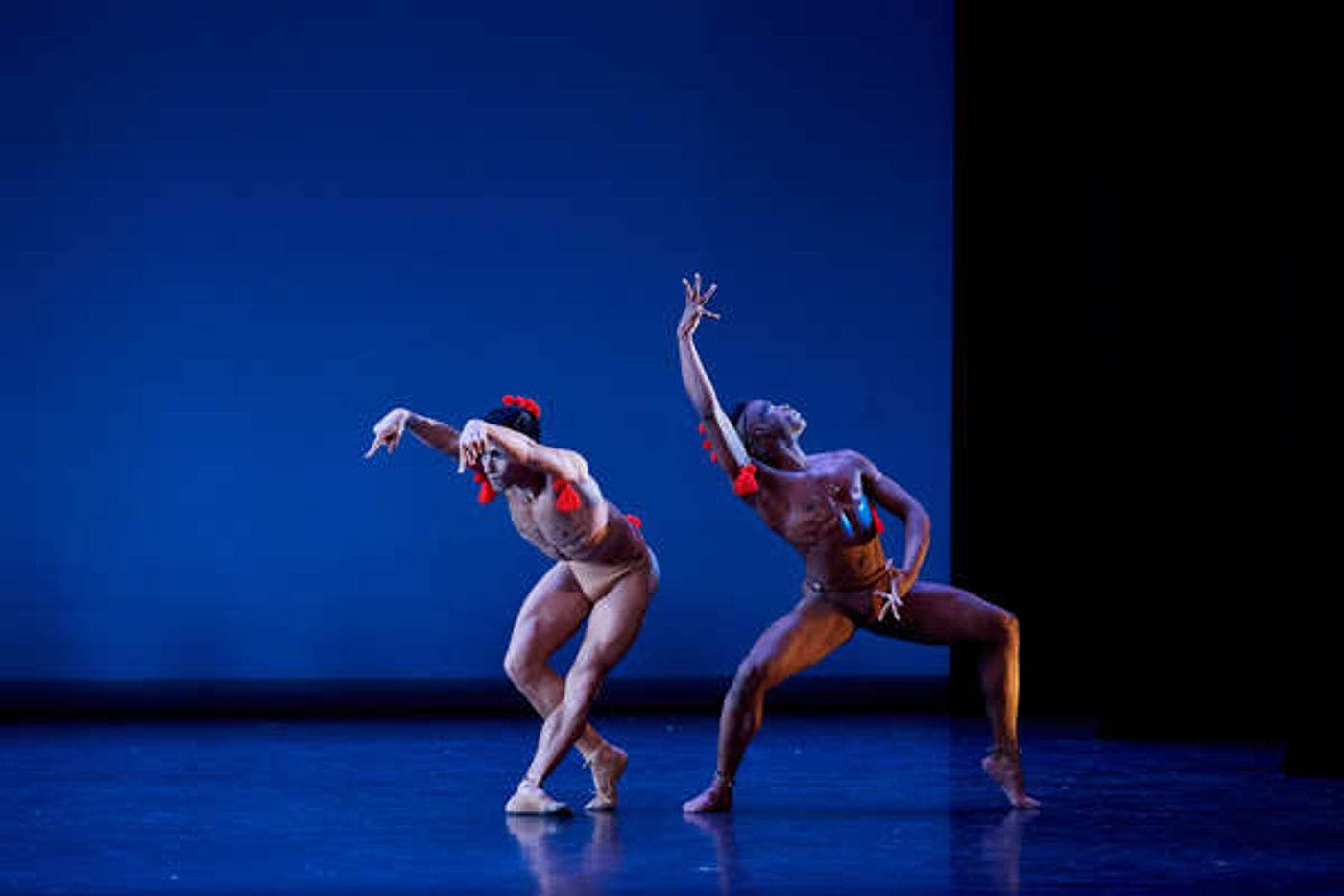 Photo Flash: Dance Theatre of Harlem's DOUGLA Photo Flash: Dance Theatre of Harlem's DOUGLA Image
