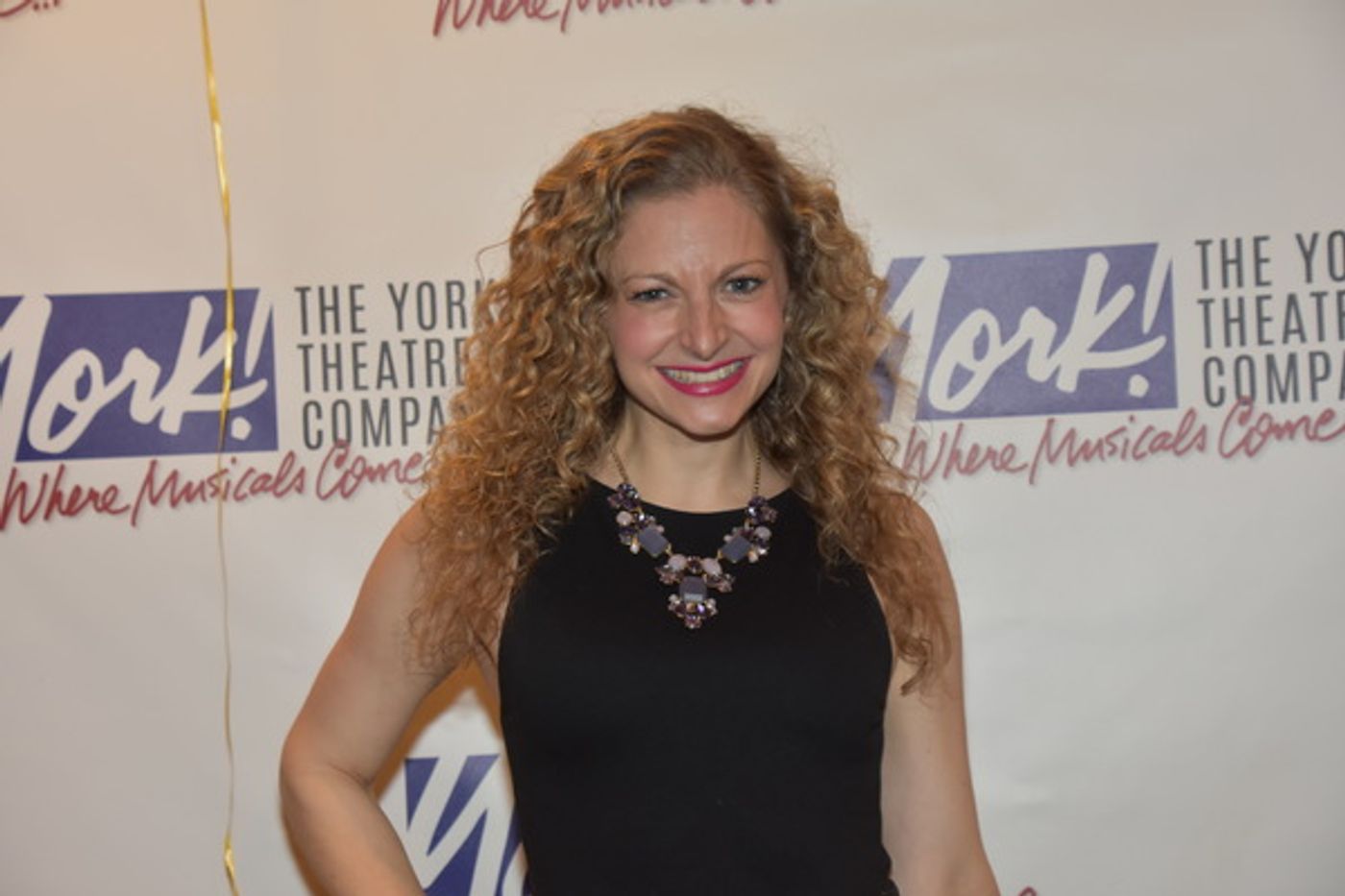 Photo Coverage: Go Inside York Theatre Company's Gala, THE MUSICAL OF MUSICALS!  Image