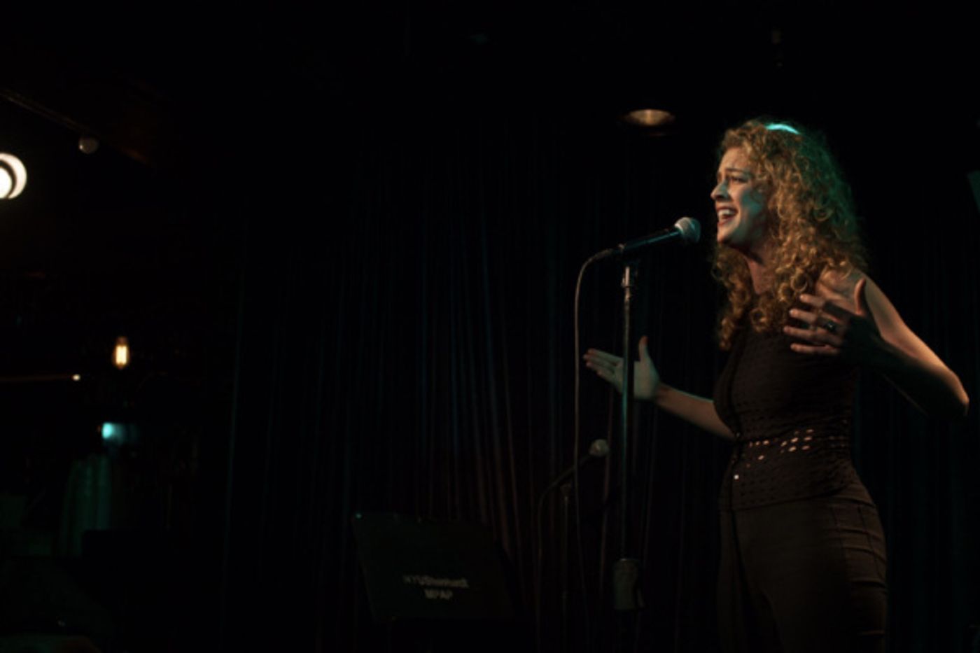 Photo Flash: The SWAP Cabaret At The West End Lounge  Image