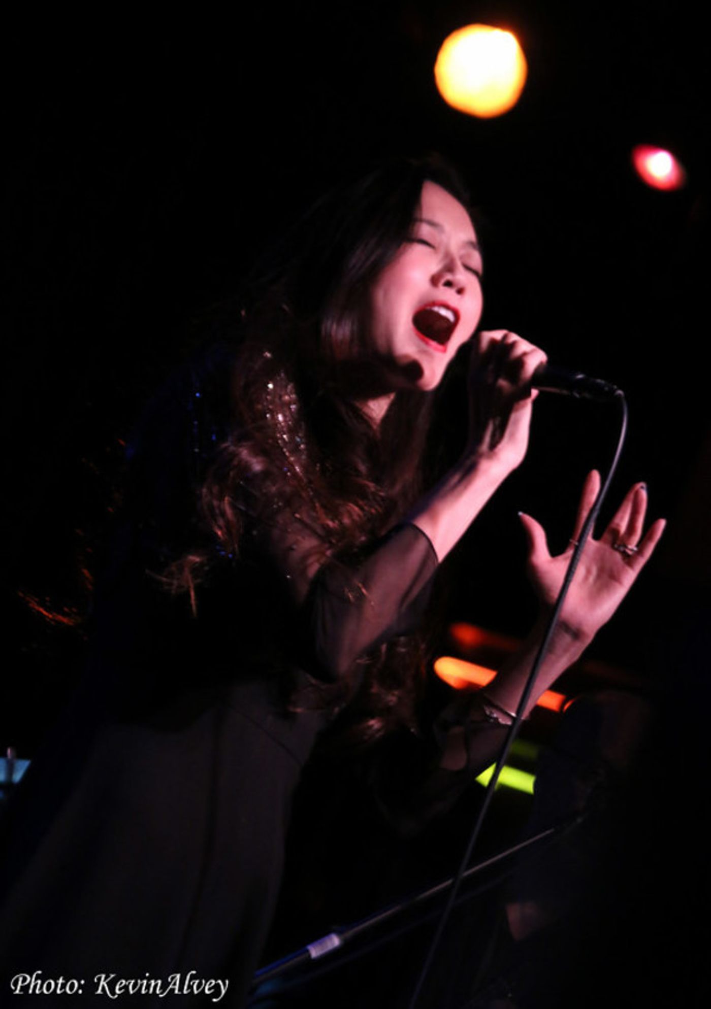 Photo Flash: Frank Wildhorn & Friends Come to BROADWAY AT BIRDLAND  Image