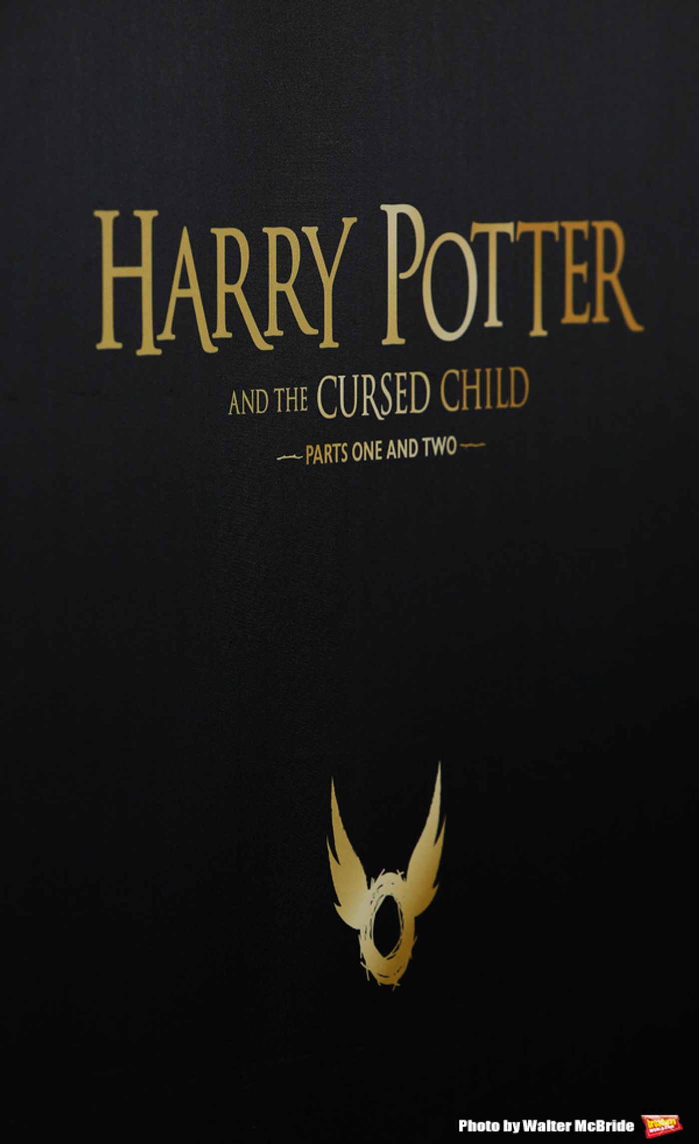 Photo Coverage: The Cast of HARRY POTTER AND THE CURSED CHILD Celebrates Opening Night  Image