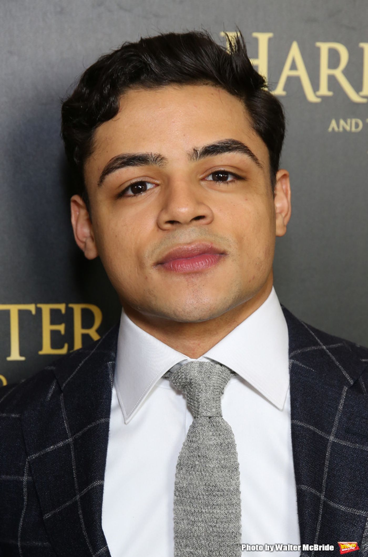 Photo Coverage: The Cast of HARRY POTTER AND THE CURSED CHILD Celebrates Opening Night  Image