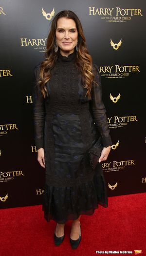 Brooke Shields Photo