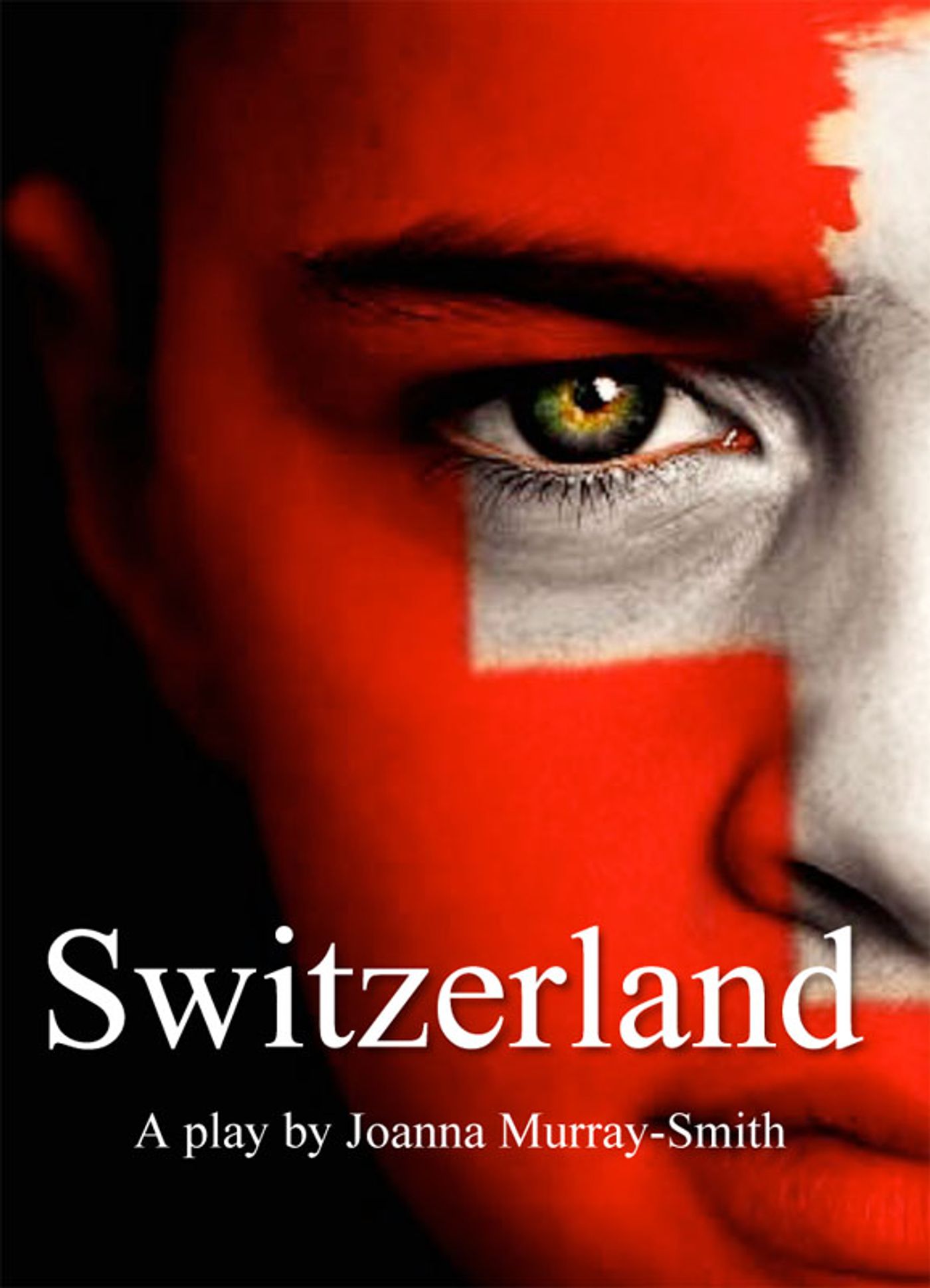 Review: SWITZERLAND at Hudson Stage Company  Image