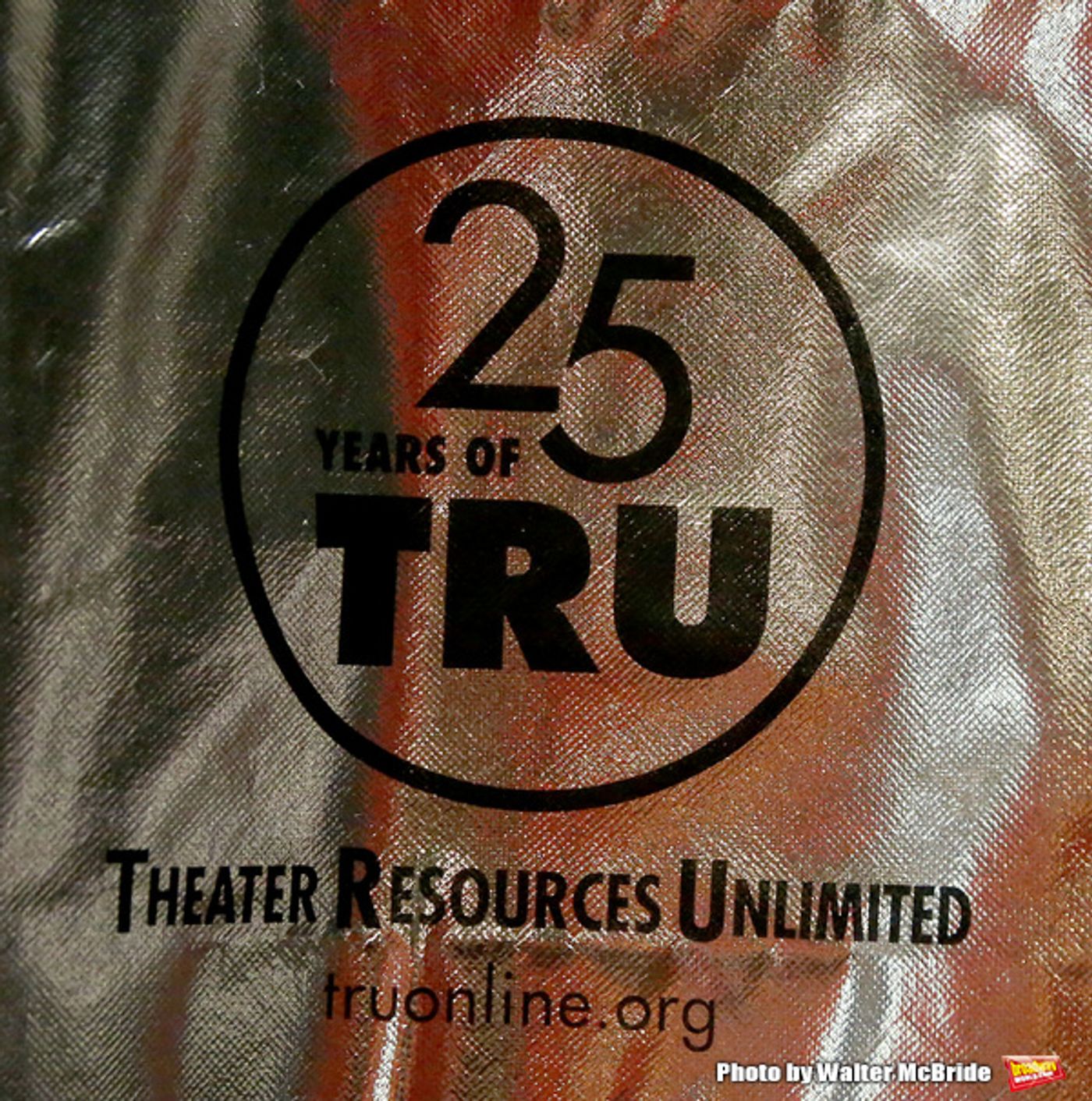 Photo Coverage: Theater Resources Unlimited Holds Panel: Stream It and They Will Come  Image