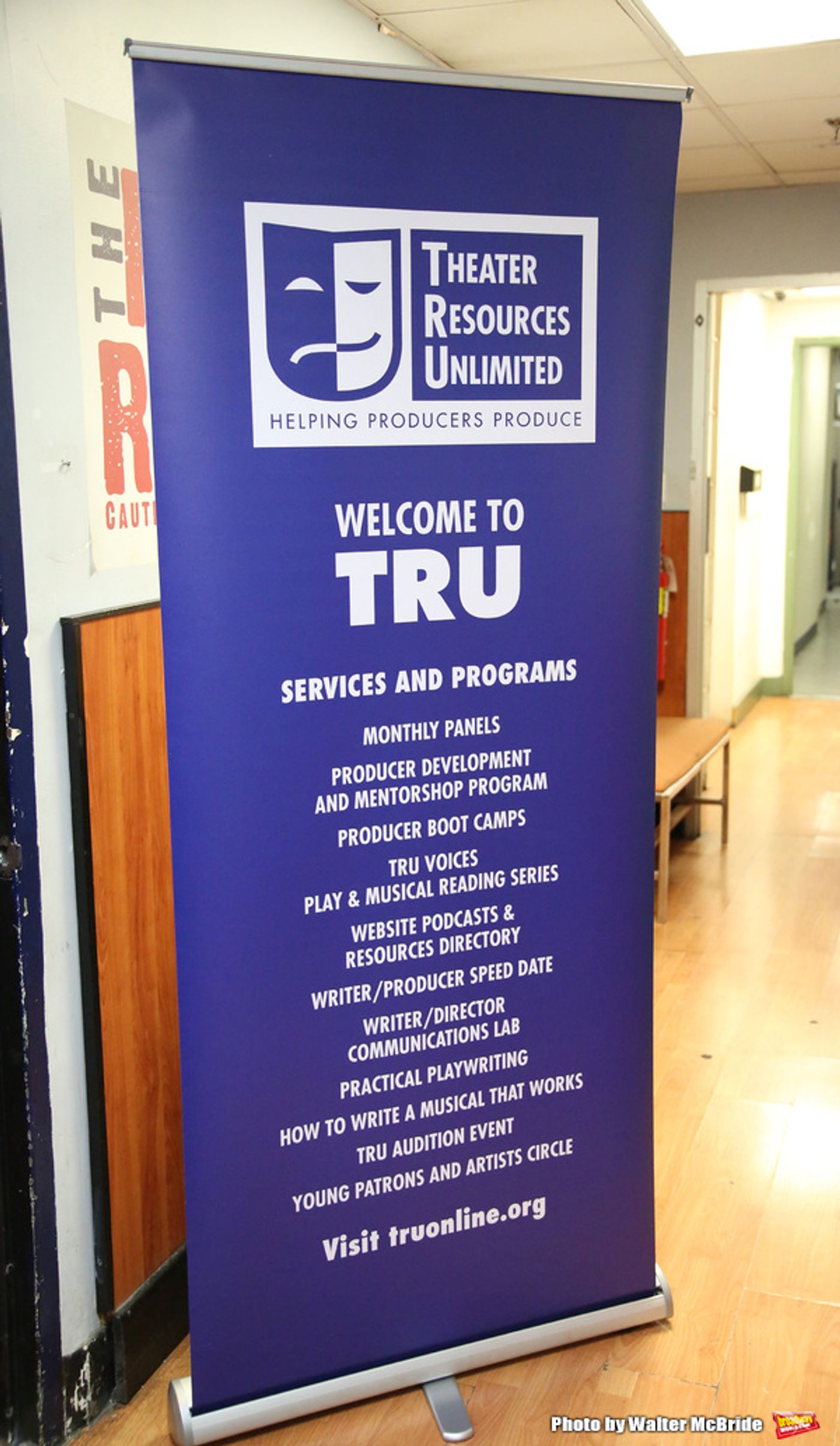 Photo Coverage: Theater Resources Unlimited Holds Panel: Stream It and They Will Come  Image