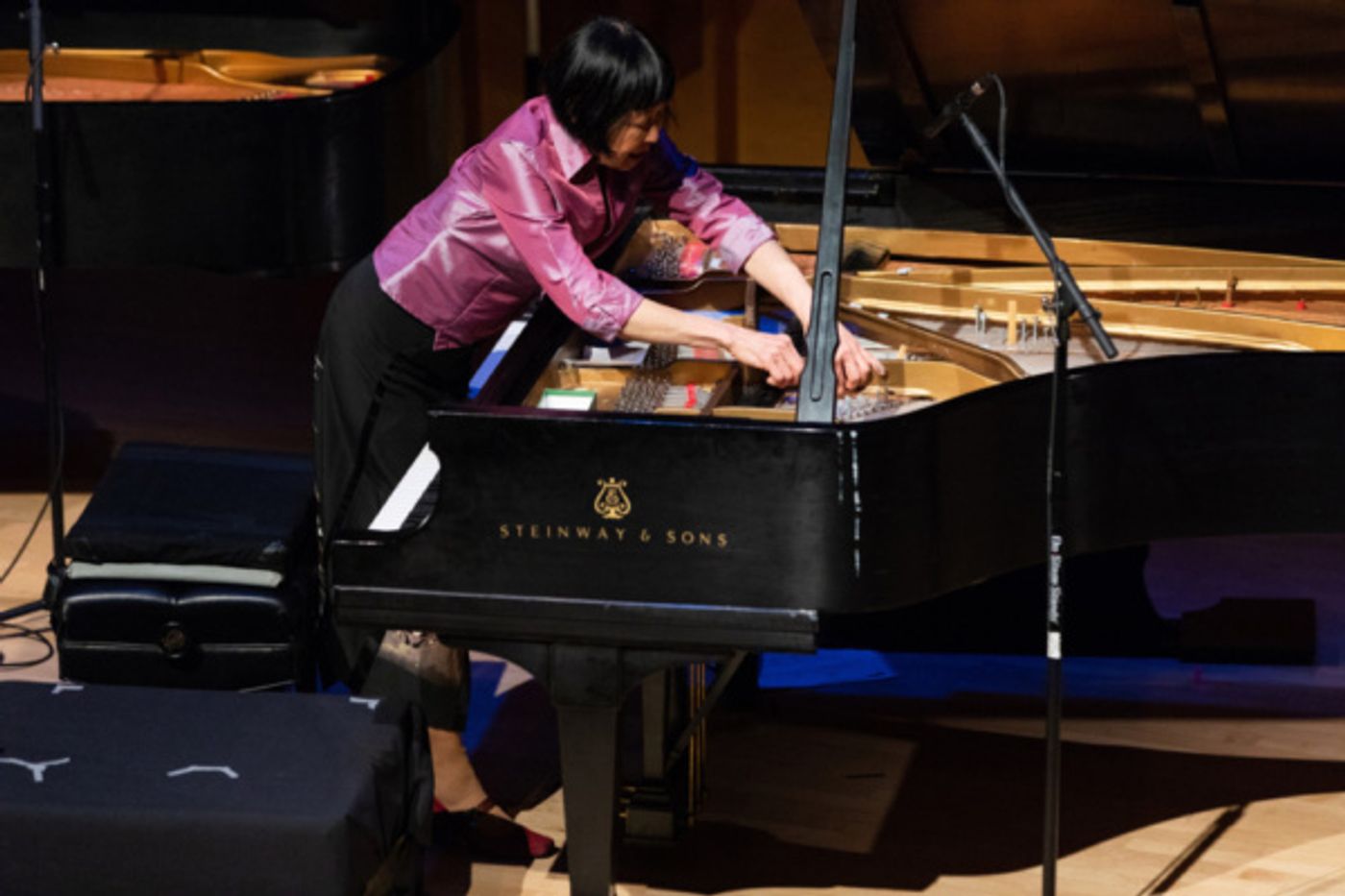 Photo Flash: Ecstatic Music Festival: Margaret Leng Tan Premiered George Crumb, Suzanne Farrin & Kelly Moran  Image