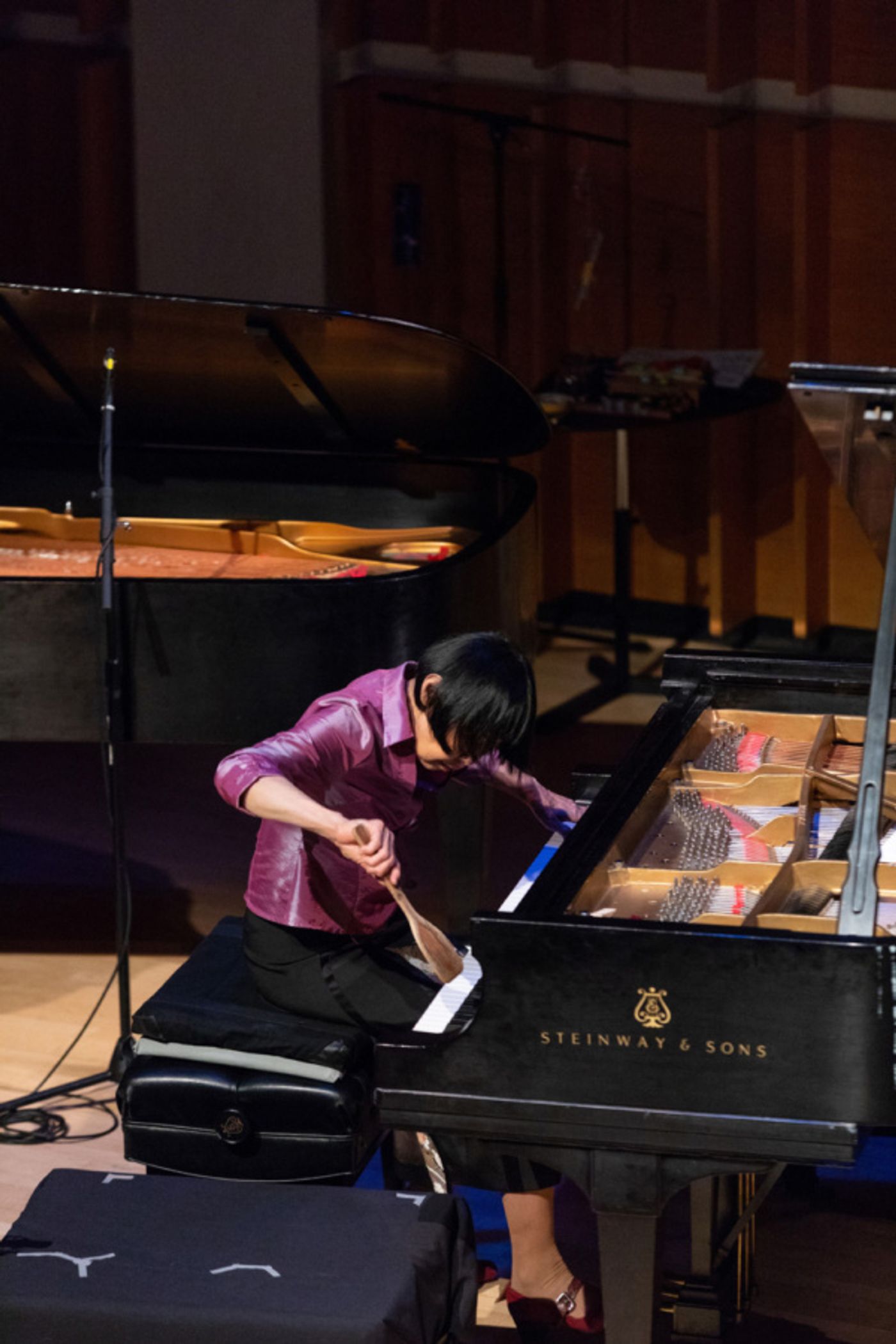 Photo Flash: Ecstatic Music Festival: Margaret Leng Tan Premiered George Crumb, Suzanne Farrin & Kelly Moran  Image