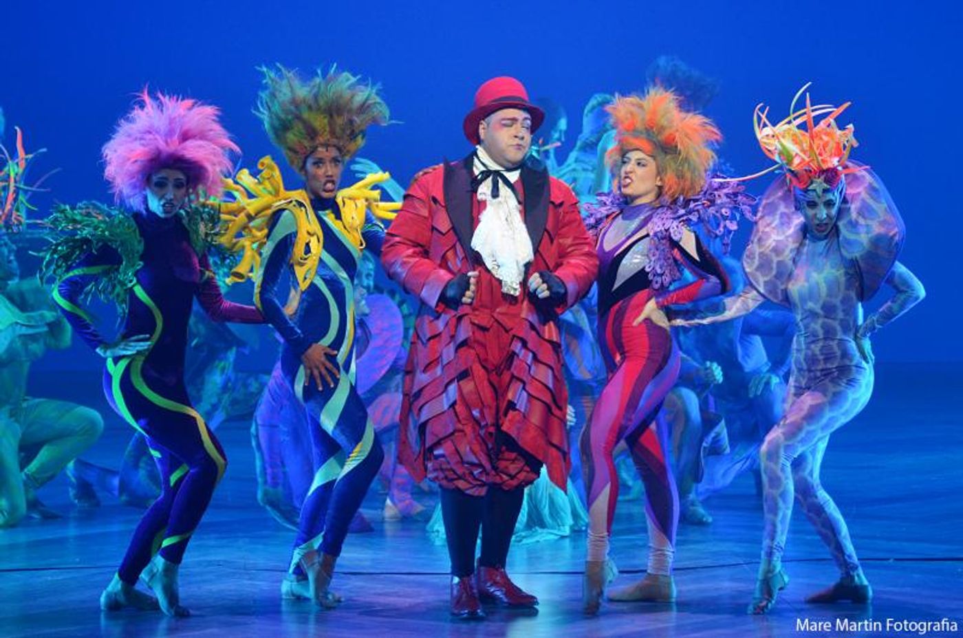 Review: A PEQUENA SEREIA (The Little Mermaid) opens at Teatro Santander Review: A PEQUENA SEREIA (The Little Mermaid) opens at Teatro Santander Image