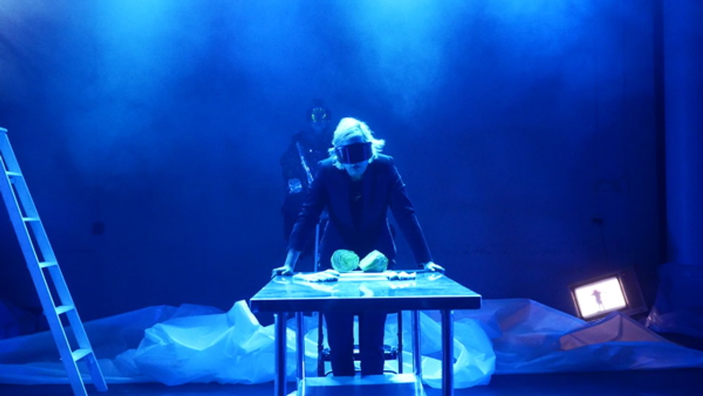 Photo Flash: The New Ohio Theatre and IRT's Theatre Archive Presents DANGER SIGNALS  Image