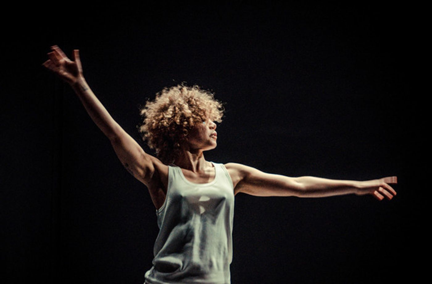 Photo Flash: Pivot Arts Presents the 6th ANNUAL PIVOT ARTS FESTIVAL Photo Flash: Pivot Arts Presents the 6th ANNUAL PIVOT ARTS FESTIVAL Image