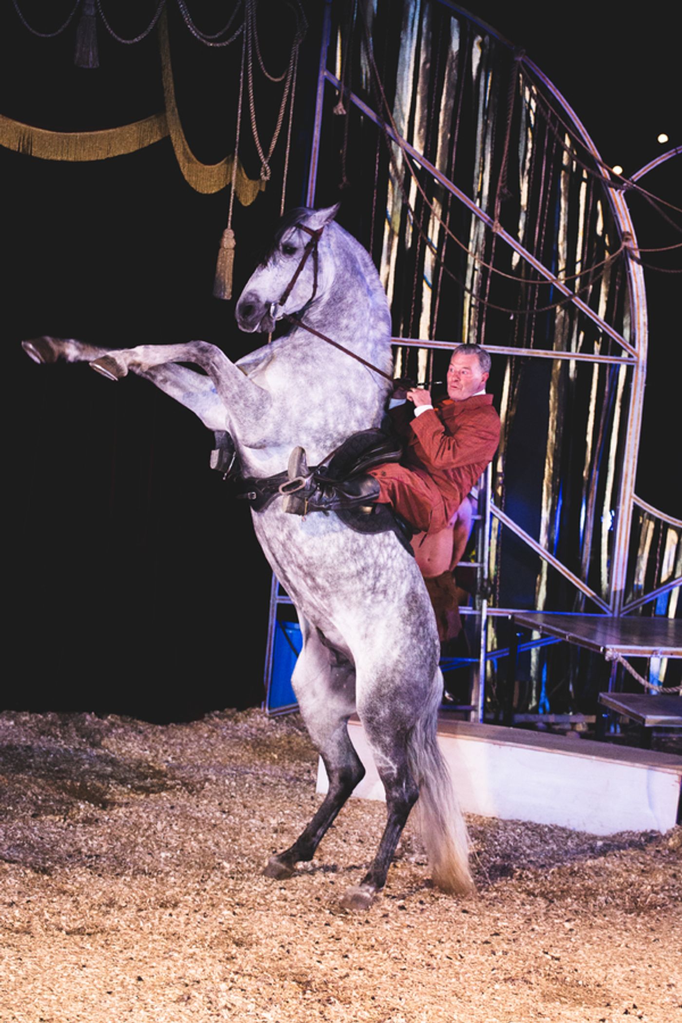 Photo Flash: First Look at Giffords Circus' MY BEAUTIFUL CIRCUS Tour  Image
