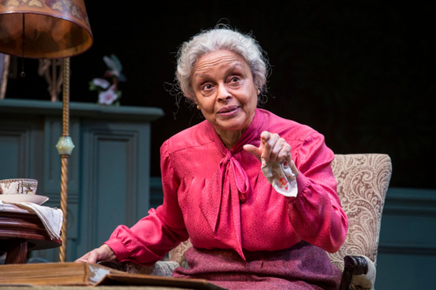 Photo Flash: First Look at Goodman's HAVING OUR SAY: THE DELANY SISTERS' FIRST 100 YEARS  Image