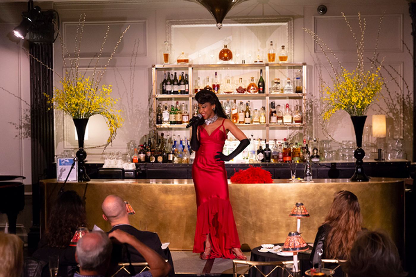 Photo Flash: N'Kenge Takes on the Hotel Pierre  Image