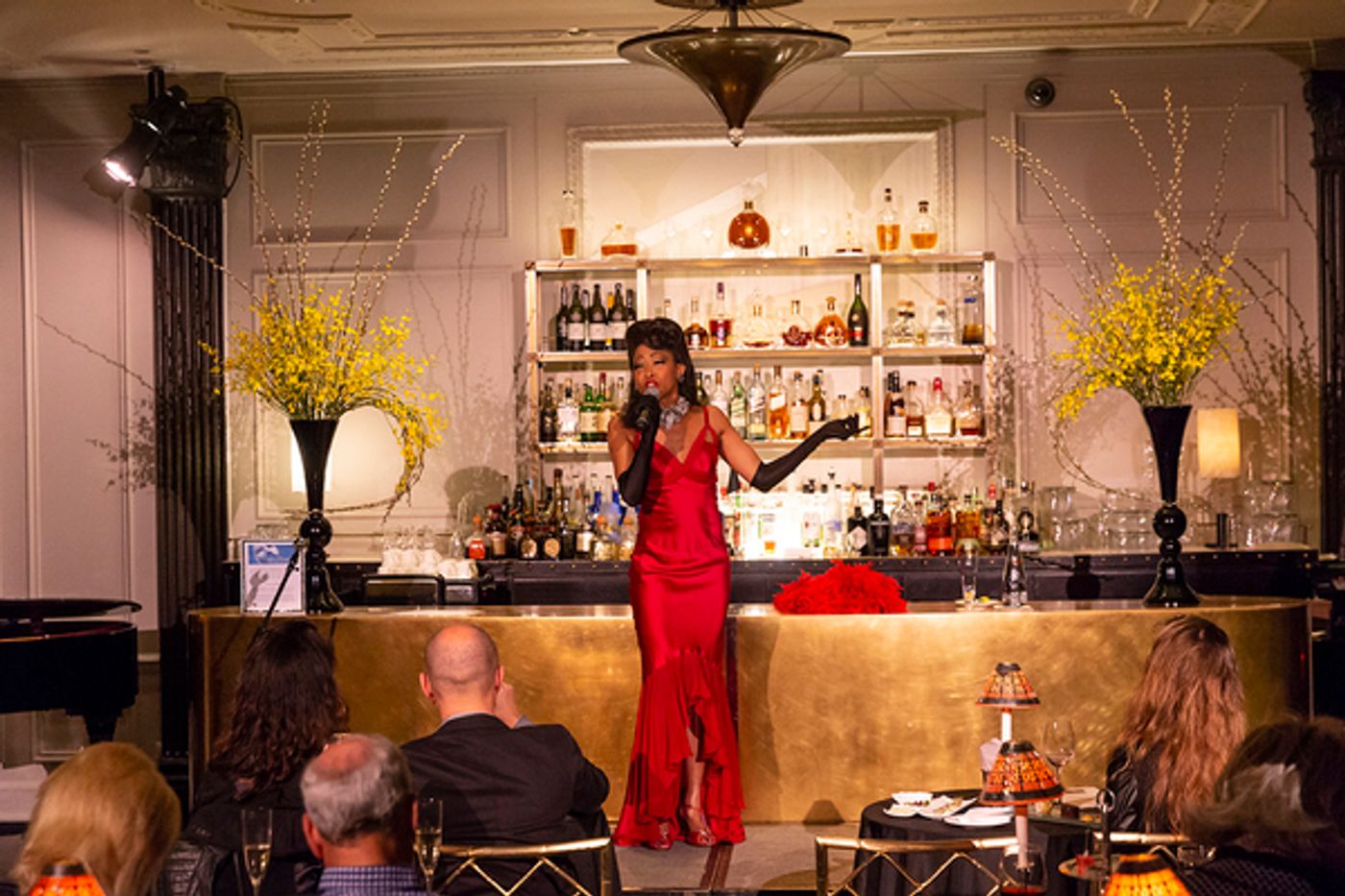 Photo Flash: N'Kenge Takes on the Hotel Pierre  Image