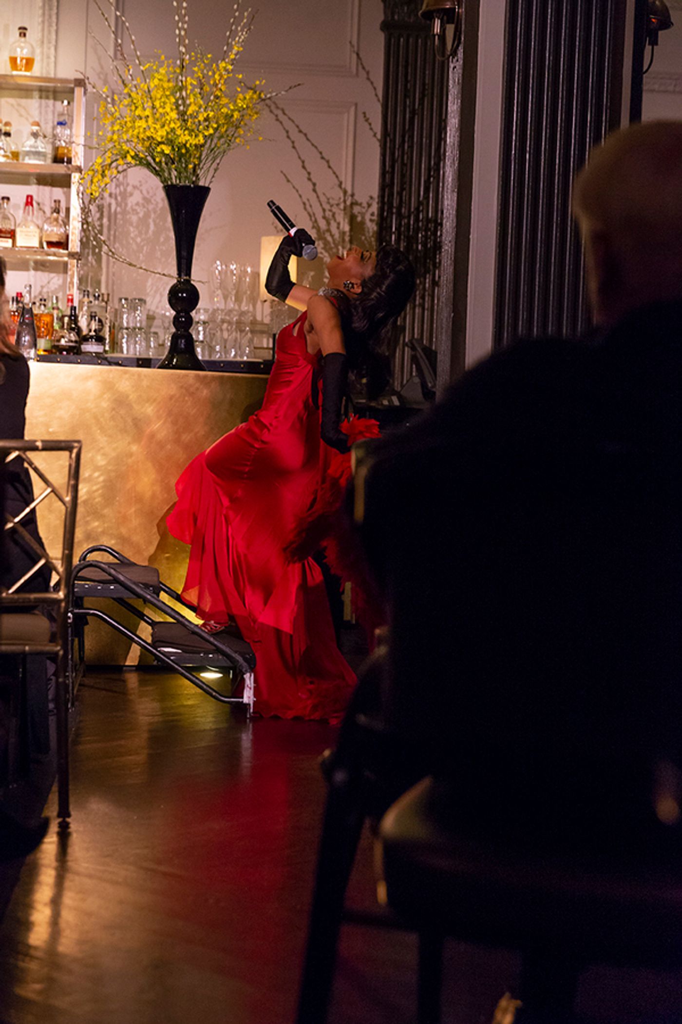 Photo Flash: N'Kenge Takes on the Hotel Pierre  Image