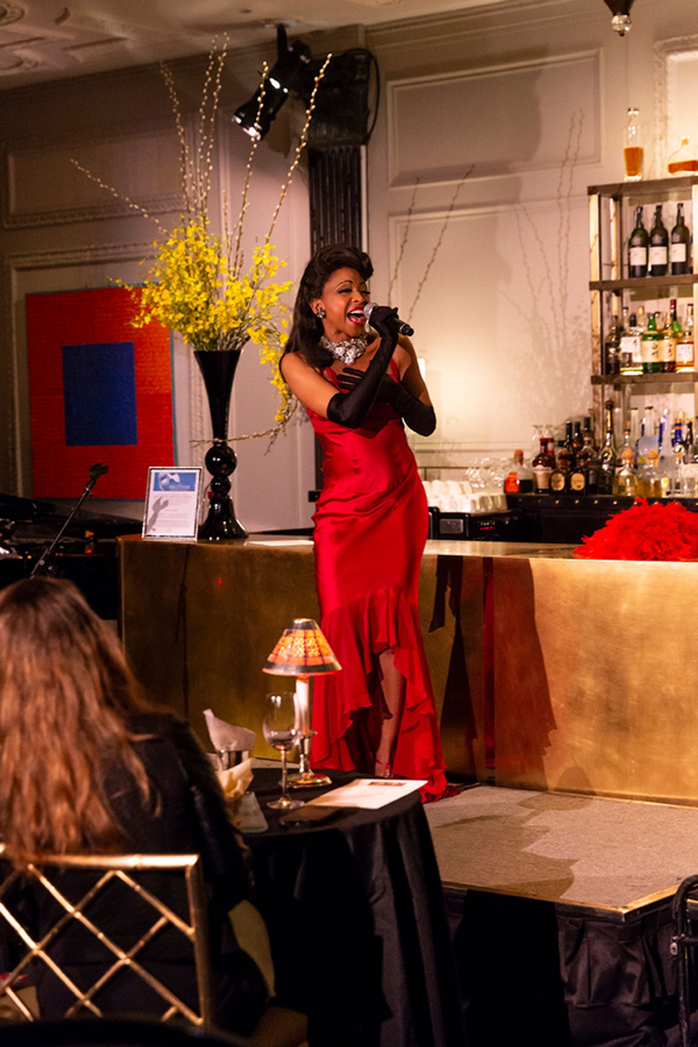 Photo Flash: N'Kenge Takes on the Hotel Pierre  Image