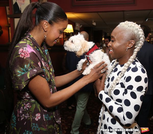 Photos: Condola Rashad Receives Her Portrait at Sardi's — photo 3 of 35