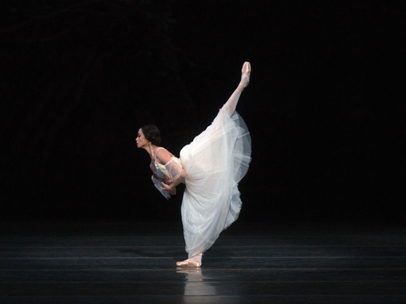 Photo Flash: Get A First Look At American Ballet Theatre's GISELLE  Image
