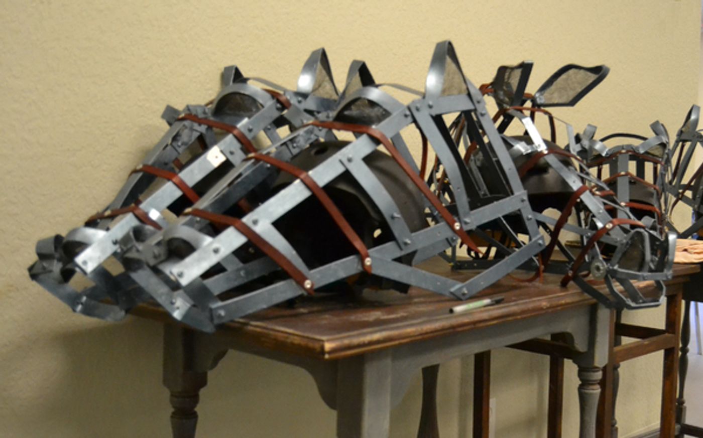 Photo Flash: Palm Beach Dramaworks Presents EQUUS  Image