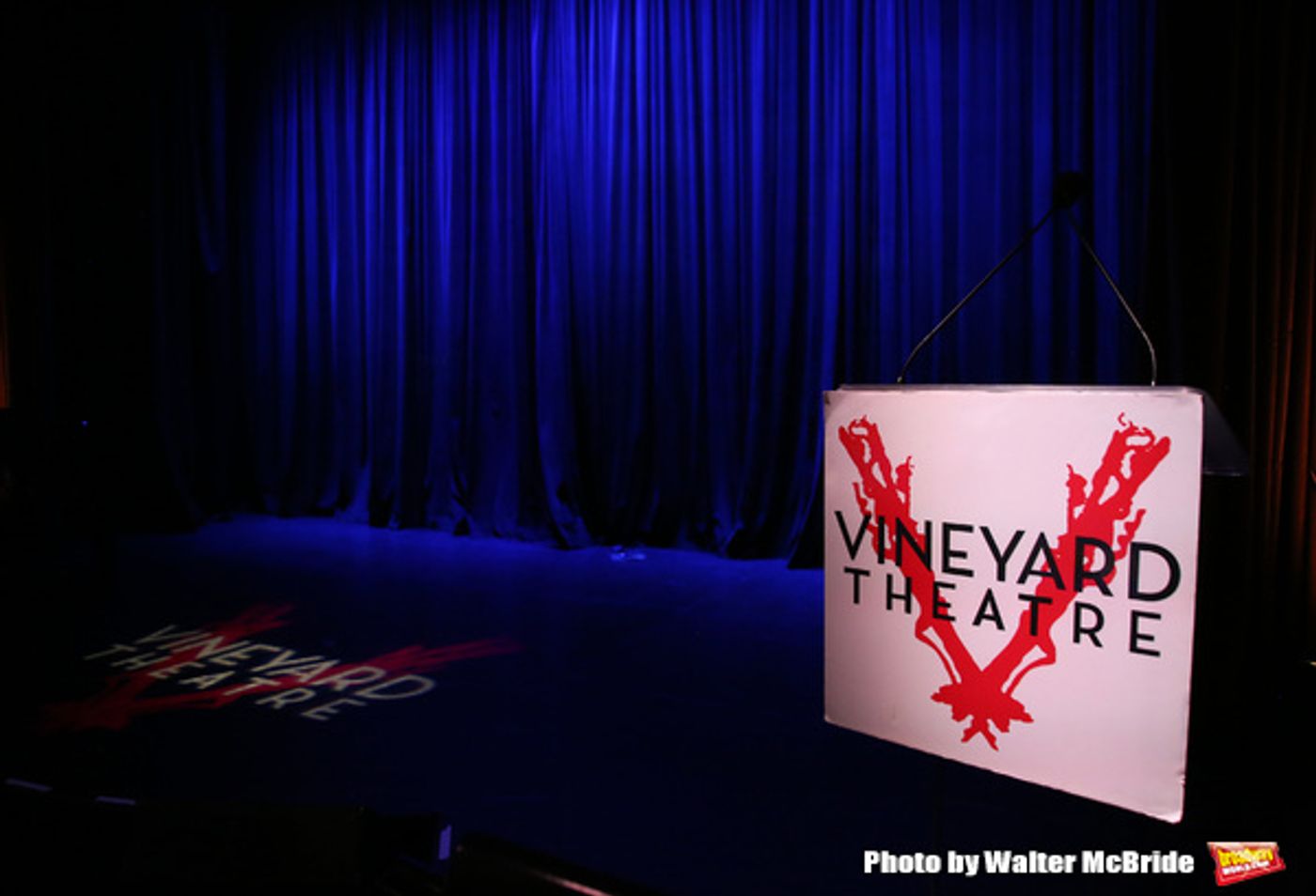 Photo Coverage: Go Inside the Vineyard Theatre Gala with Jessie Mueller, Lena Hall, John Gallagher, Jr. & More!  Image