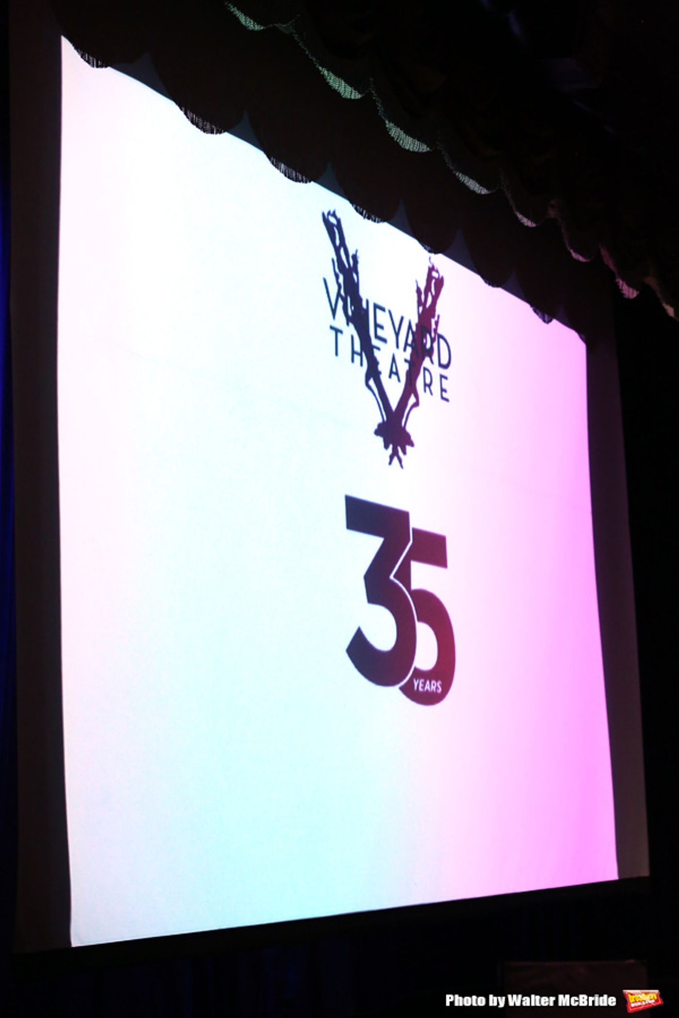 Photo Coverage: Go Inside the Vineyard Theatre Gala with Jessie Mueller, Lena Hall, John Gallagher, Jr. & More!  Image