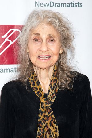 Lynn Cohen Photo