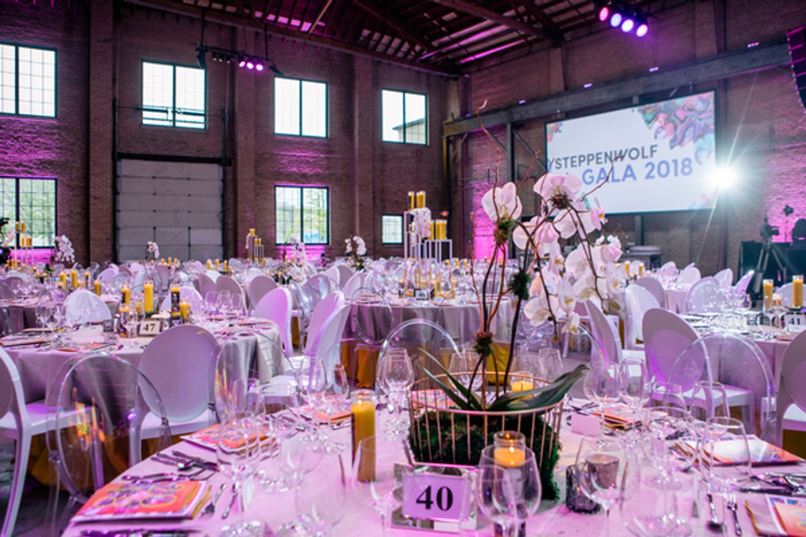 Photo Flash: Steppenwolf's 2018 Gala Raises