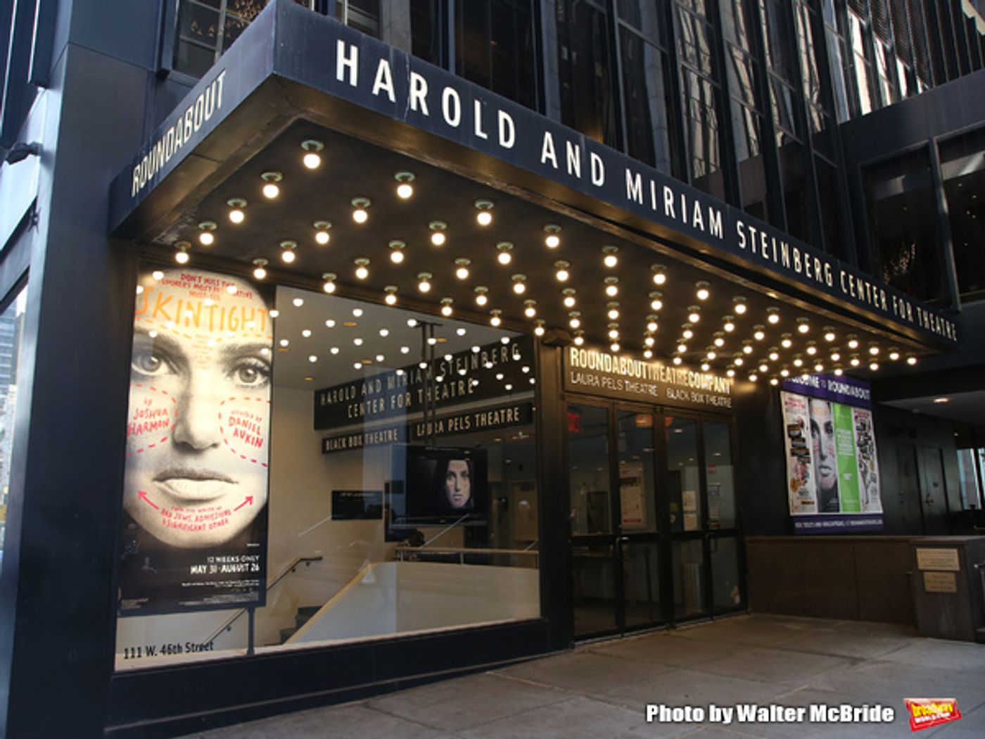 Up on the Marquee: SKINTIGHT with Idina Menzel  Image