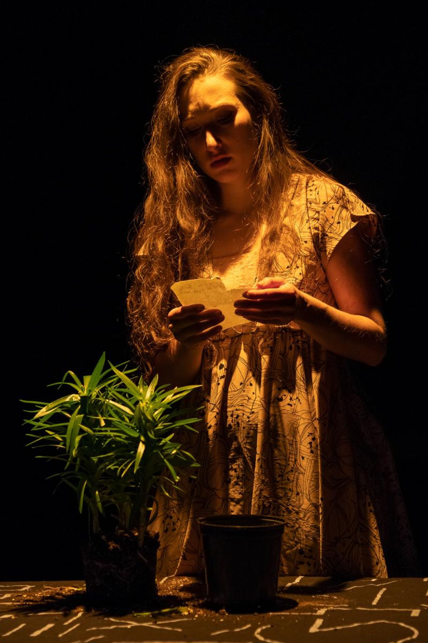 Review: Resistance Takes its Toll in The Seeing Place Theater's THE PEOPLE VS ANTIGONE  Image