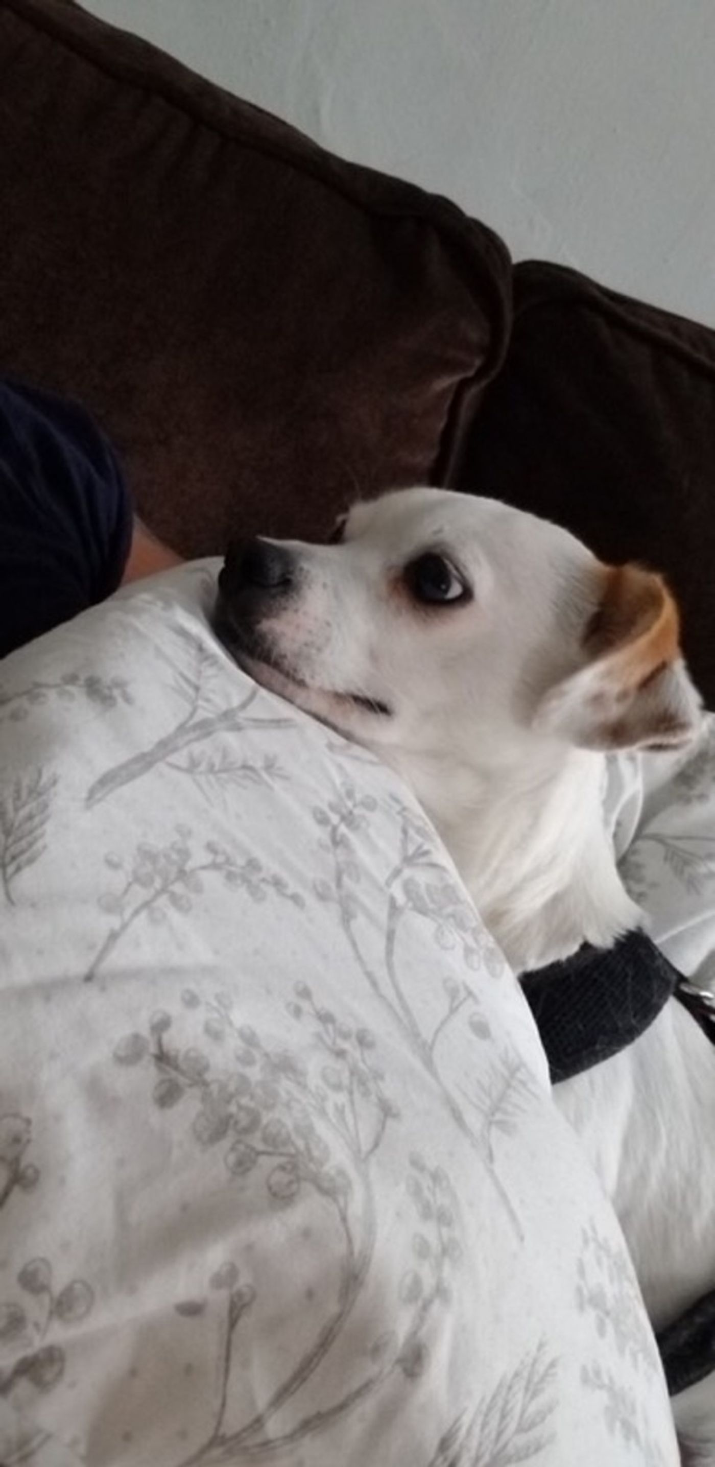 BWW Exclusive: A Loverly Day in the Life of MY FAIR LADY's Christopher Faison!  Image