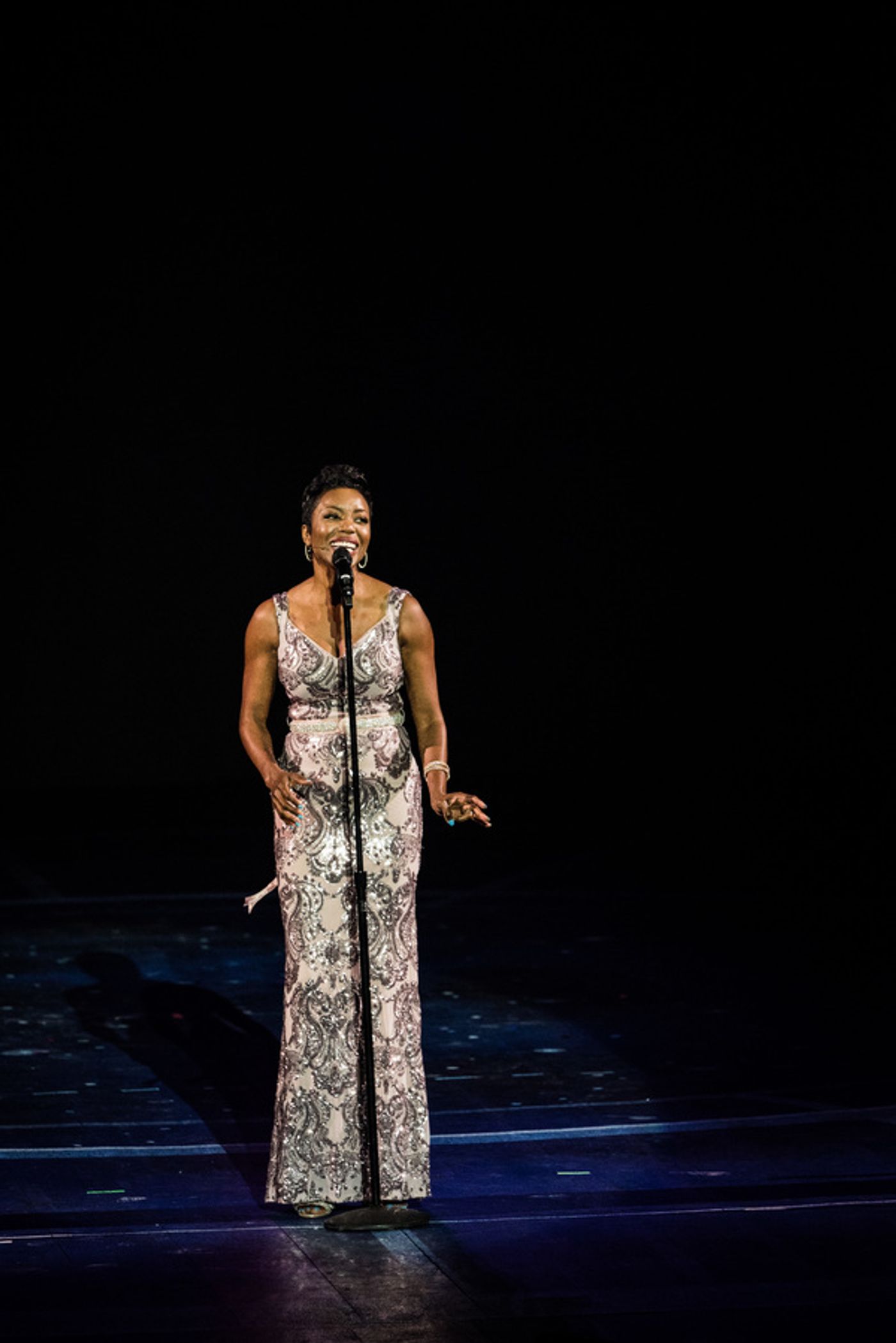 Photo Flash: Get a Look at The Muny's Centennial Production, AN EVENING WITH THE STARS  Image