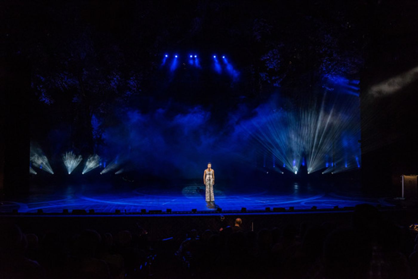 Photo Flash: Get a Look at The Muny's Centennial Production, AN EVENING WITH THE STARS  Image