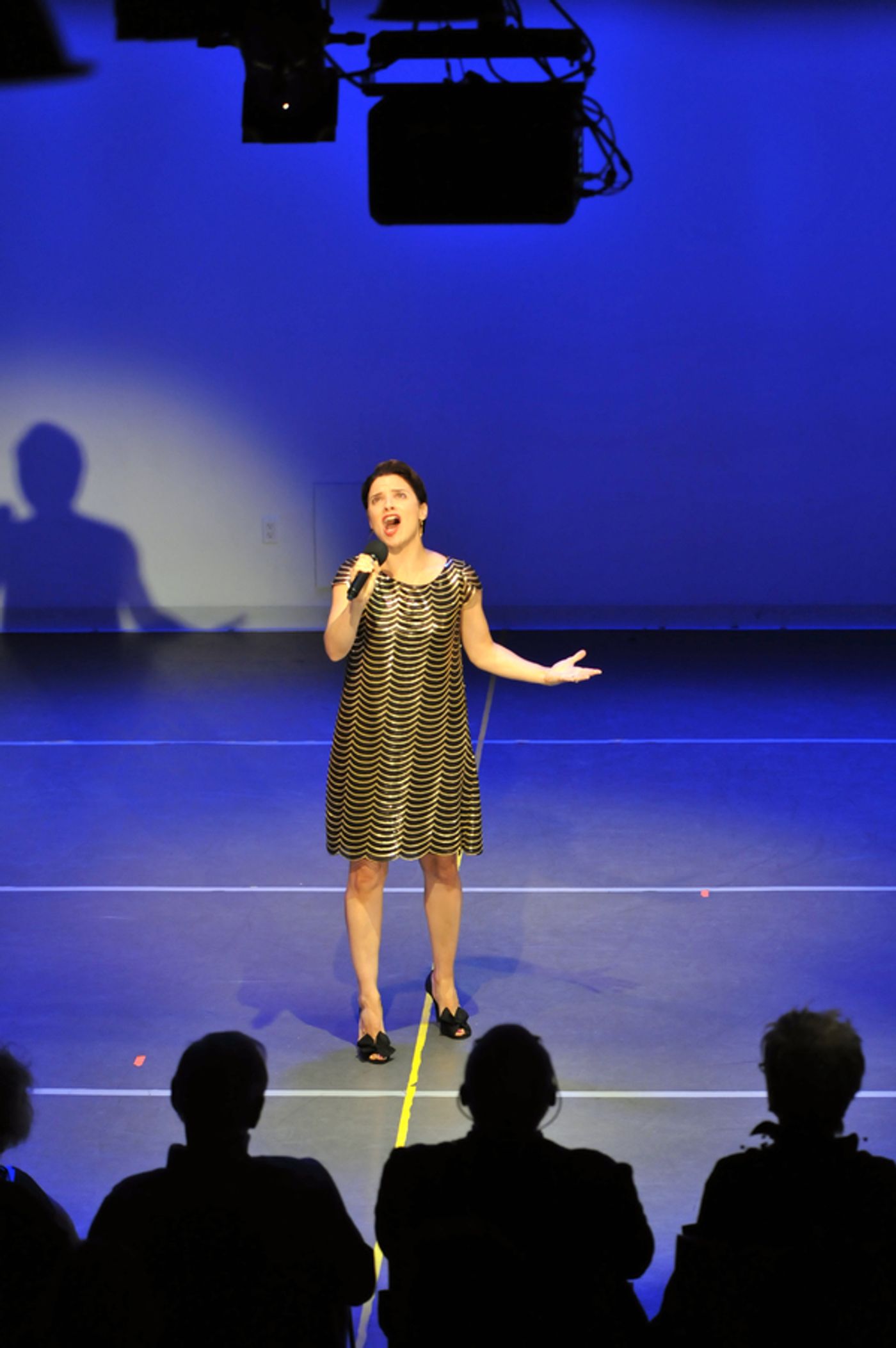 Photo Flash: NDI Presents A Celebration of Jerome Robbins Hosted by Jacques d'Amboise and co-directed by Daniel Ulbricht  Image