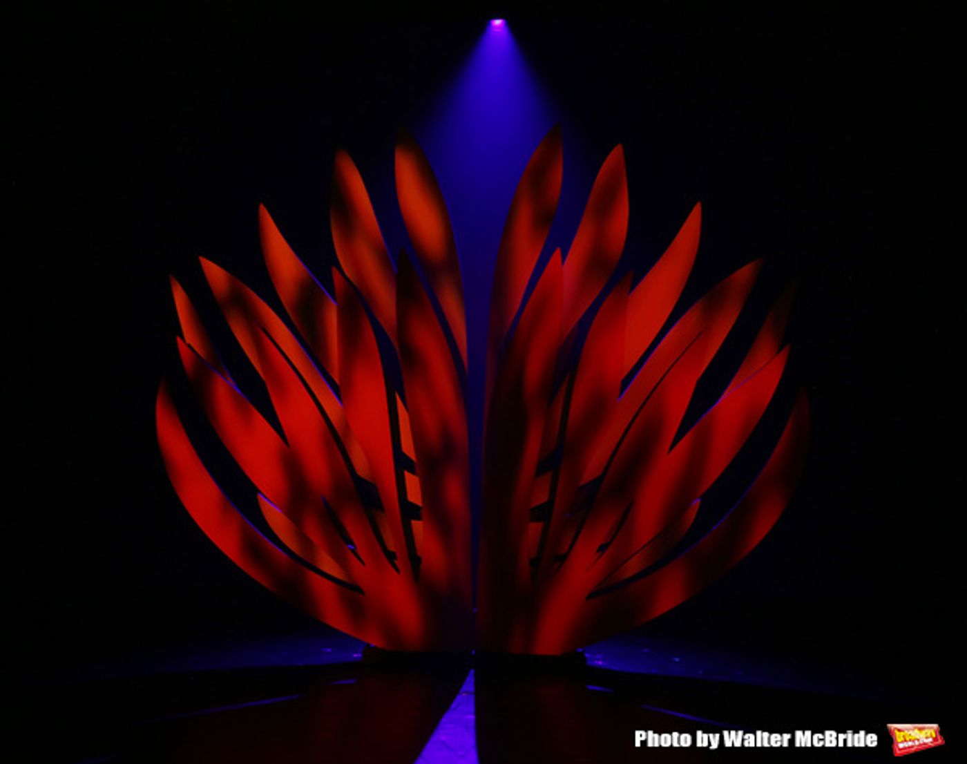 Photo Coverage: The Cast of THE BEAST IN THE JUNGLE Takes its Opening Night Bows  Image