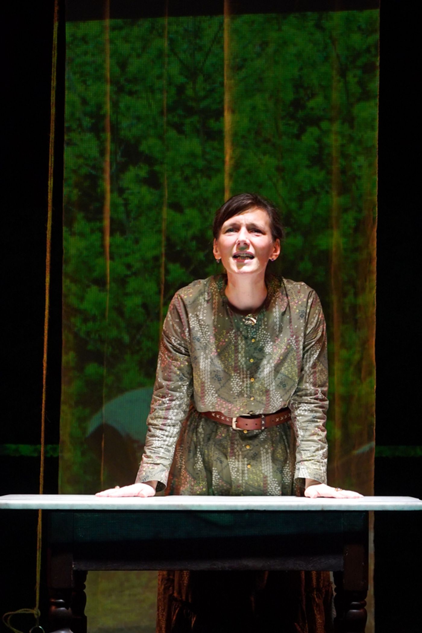 Photo Flash: Anecdota Presents the World Premiere of SAVED AGAIN AND BY HIM  Image