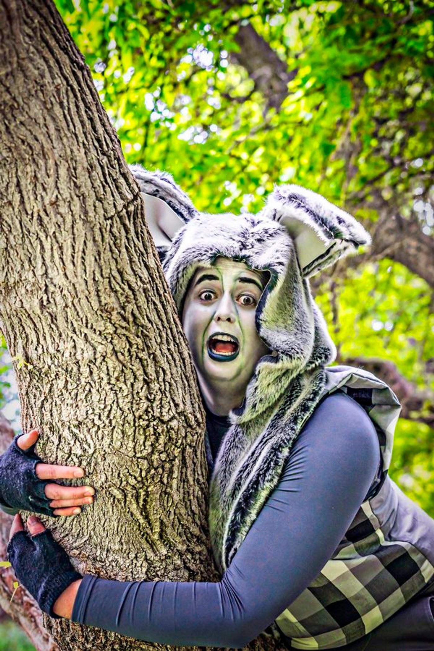 Photo Flash: SHREK THE MUSICAL Comes to SCERA Shell Outdoor Theatre Photo Flash: SHREK THE MUSICAL Comes to SCERA Shell Outdoor Theatre Image
