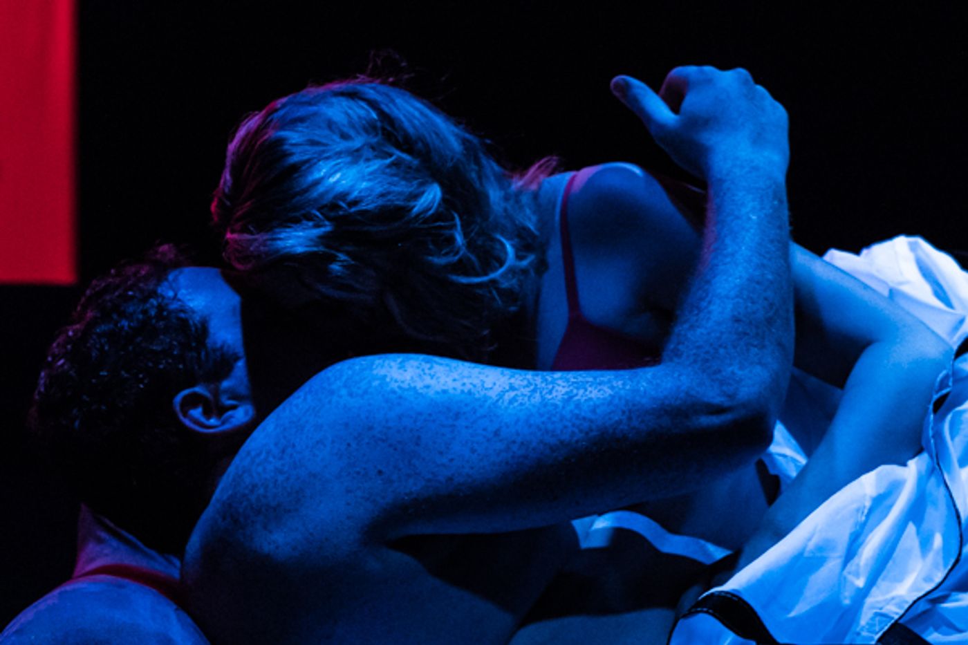 Photo Coverage: First look at SRO's COMPANY  Image